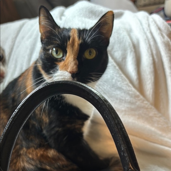 Louis Vuitton Speedy 30 β Customized - Picture 15 of 16